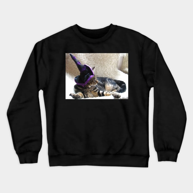 Hocus Pocus Kitty Focus Crewneck Sweatshirt by Ladymoose